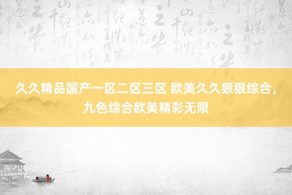 久久精品国产一区二区三区 欧美久久狠狠综合，九色综合欧美精彩无限