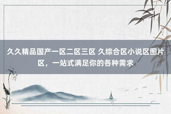 久久精品国产一区二区三区 久综合区小说区图片区，一站式满足你的各种需求