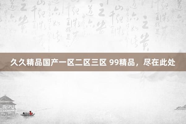 久久精品国产一区二区三区 99精品，尽在此处