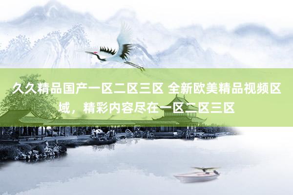 久久精品国产一区二区三区 全新欧美精品视频区域，精彩内容尽在一区二区三区