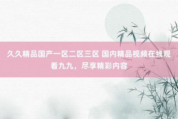 久久精品国产一区二区三区 国内精品视频在线观看九九，尽享精彩内容