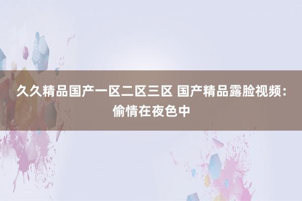 久久精品国产一区二区三区 国产精品露脸视频：偷情在夜色中