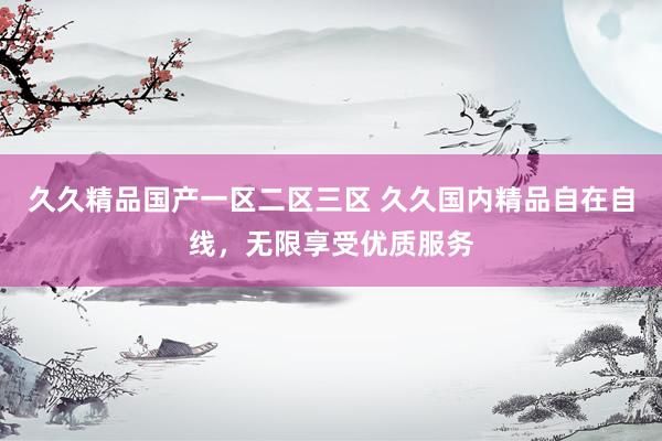 久久精品国产一区二区三区 久久国内精品自在自线，无限享受优质服务