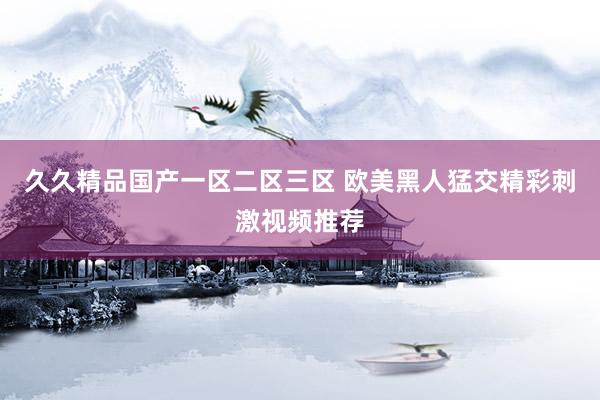 久久精品国产一区二区三区 欧美黑人猛交精彩刺激视频推荐