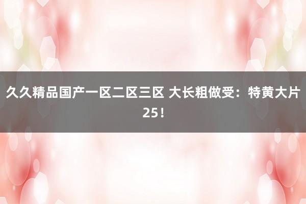 久久精品国产一区二区三区 大长粗做受：特黄大片25！