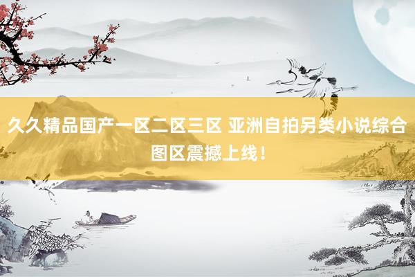 久久精品国产一区二区三区 亚洲自拍另类小说综合图区震撼上线！