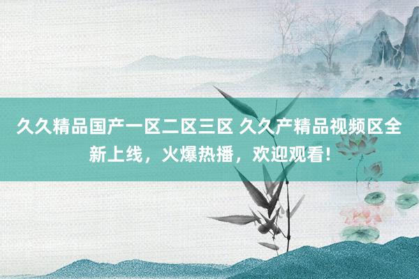 久久精品国产一区二区三区 久久产精品视频区全新上线，火爆热播，欢迎观看!