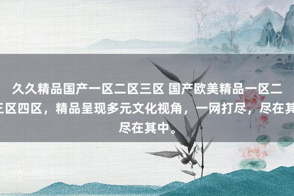 久久精品国产一区二区三区 国产欧美精品一区二区三区四区，精品呈现多元文化视角，一网打尽，尽在其中。