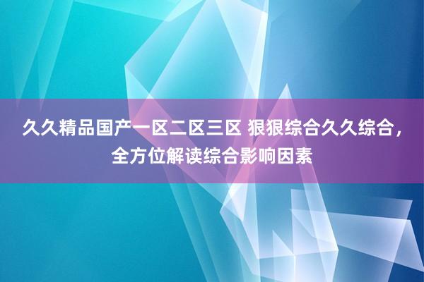 久久精品国产一区二区三区 狠狠综合久久综合，全方位解读综合影响因素