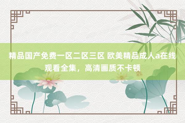 精品国产免费一区二区三区 欧美精品成人a在线观看全集，高清画质不卡顿