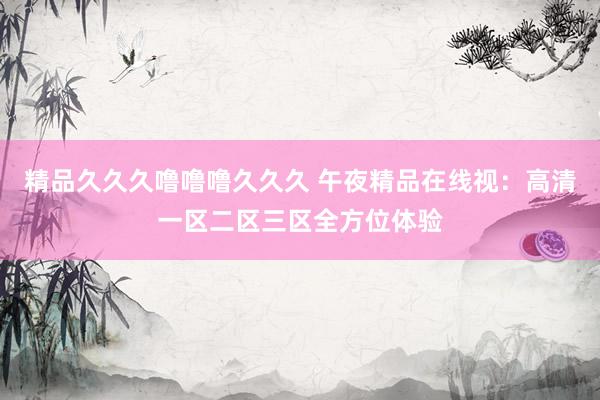 精品久久久噜噜噜久久久 午夜精品在线视：高清一区二区三区全方位体验