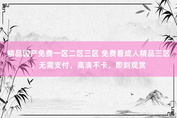 精品国产免费一区二区三区 免费看成人精品三区，无需支付，高清不卡，即刻观赏