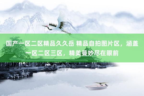 国产一区二区精品久久岳 精品自拍图片区，涵盖一区二区三区，精美曼妙尽在眼前