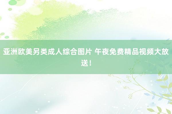 亚洲欧美另类成人综合图片 午夜免费精品视频大放送！